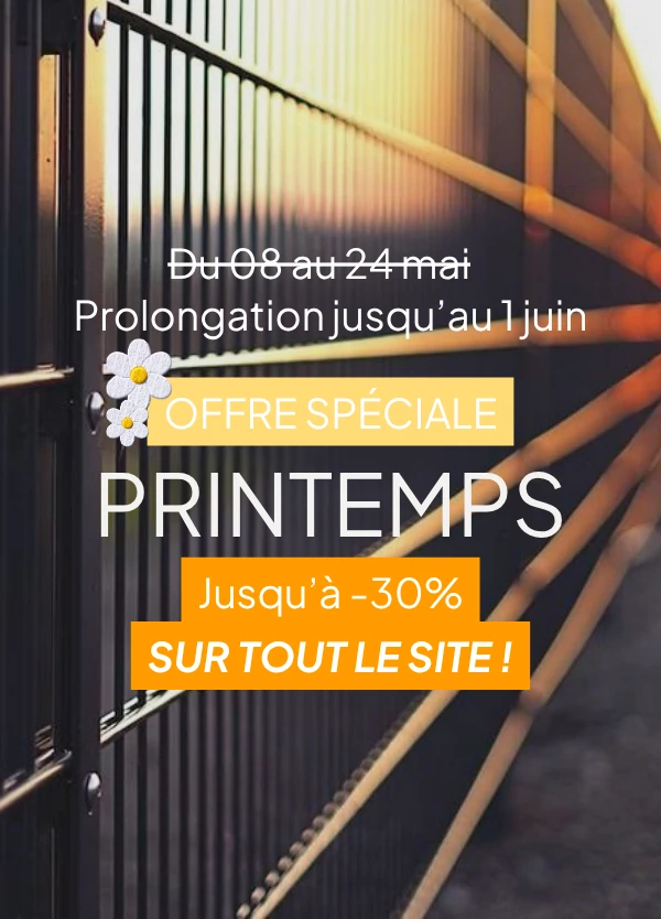 OFFRE DE PRINTEMPS PROLONGATION